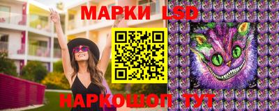 сатива Кизилюрт