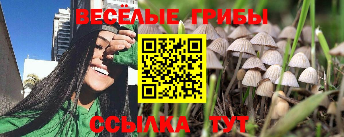 Галлюциногенные грибы Cubensis  наркота  Псилоцибиновые грибы Psilocybe  Ачинск  Вход с VPN 